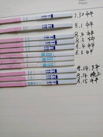 journal_insert_pic_1074513494