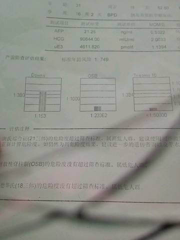 journal_insert_pic_1074682170