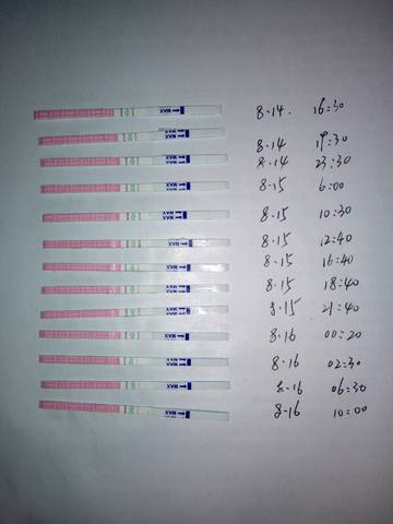 journal_insert_pic_1075086262