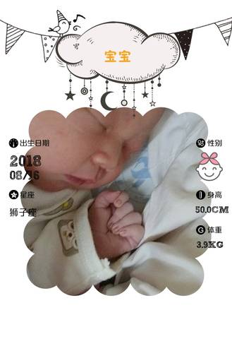 journal_insert_pic_1074971606