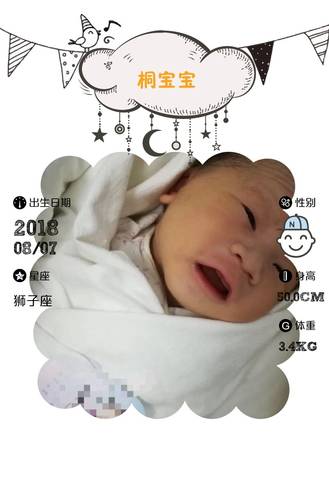 journal_insert_pic_1075203952