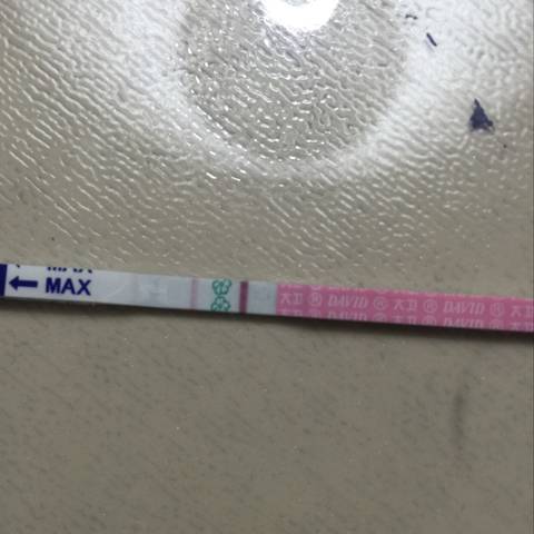 journal_insert_pic_1076347617