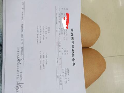 journal_insert_pic_1077538065