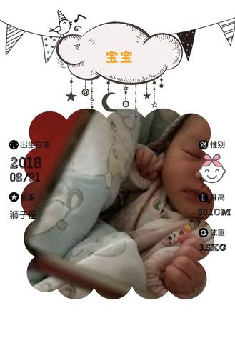 journal_insert_pic_1078589015