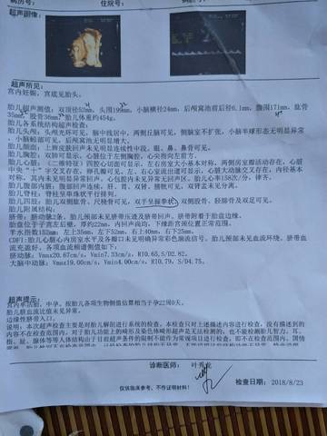 journal_insert_pic_1079381018