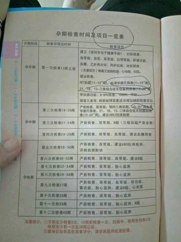 journal_insert_pic_1079332270