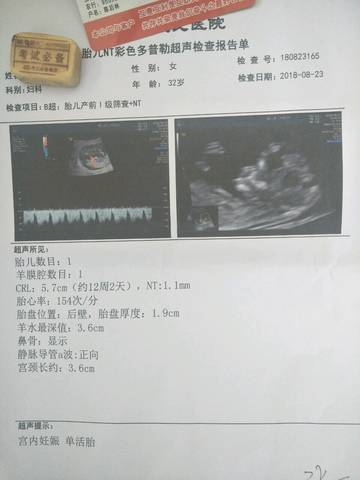 journal_insert_pic_1079394172