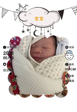 journal_insert_pic_1079830521