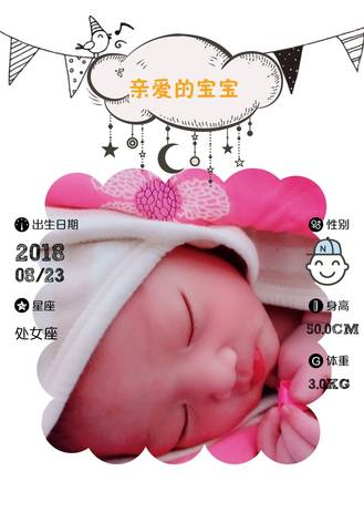 journal_insert_pic_1080204393