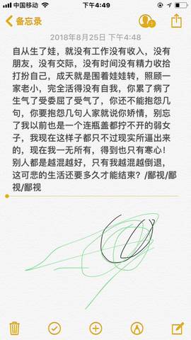 journal_insert_pic_1081202029