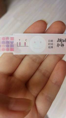 journal_insert_pic_1083768263