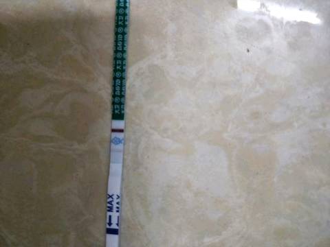 journal_insert_pic_1086148768