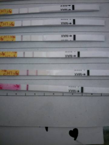 journal_insert_pic_1086285086