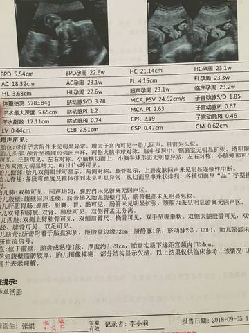 journal_insert_pic_1087436341