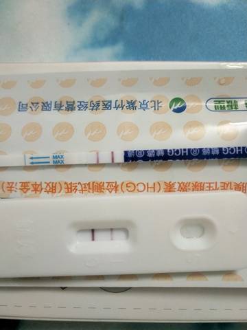 journal_insert_pic_1087567469