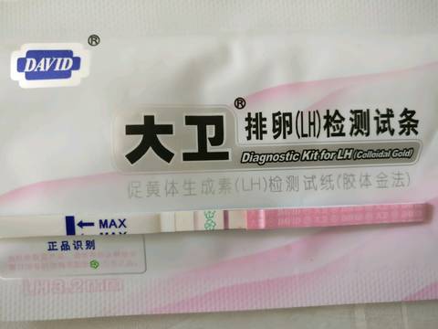 journal_insert_pic_1088540027