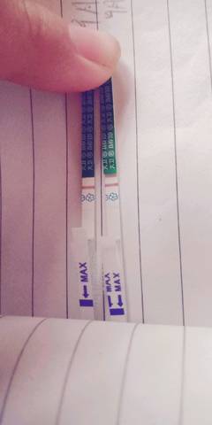 journal_insert_pic_1088962982