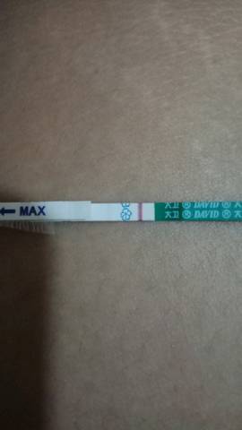 journal_insert_pic_1088963002