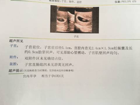 journal_insert_pic_1090632022