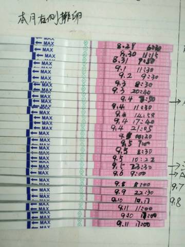 journal_insert_pic_1091246195