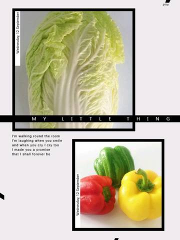 journal_insert_pic_1091691418