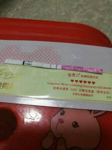 journal_insert_pic_1092609773