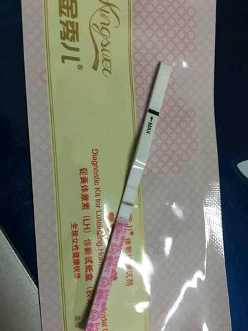 journal_insert_pic_1093157662