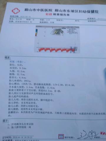 journal_insert_pic_1093961356