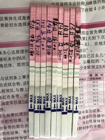 journal_insert_pic_1094035453