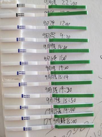 journal_insert_pic_1094618555