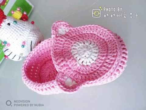 journal_insert_pic_1095072607