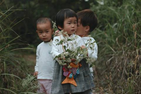 journal_insert_pic_1095862726