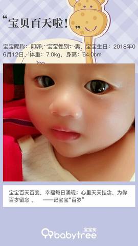 journal_insert_pic_1096412943