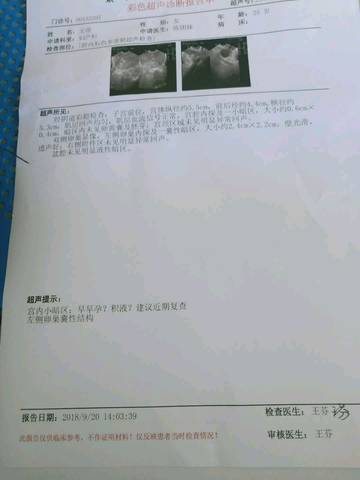 journal_insert_pic_1096500320