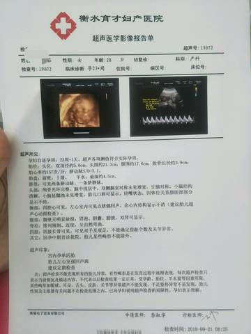 journal_insert_pic_1096711472