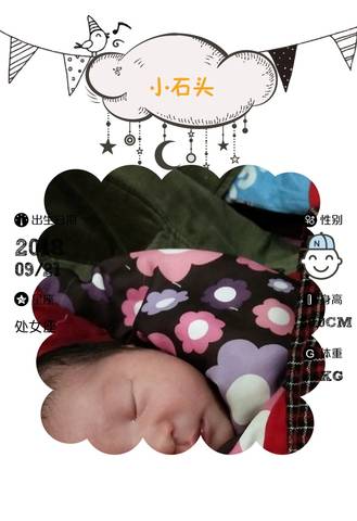 journal_insert_pic_1096874859