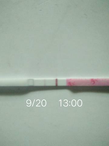 journal_insert_pic_1096795804