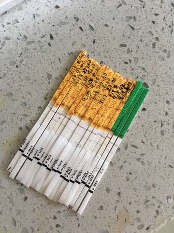 journal_insert_pic_1097367996