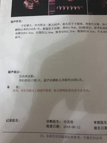 journal_insert_pic_1097176229