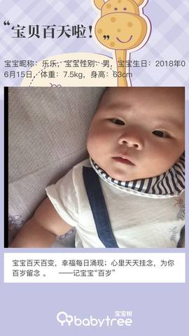journal_insert_pic_1098225355