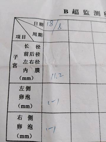 journal_insert_pic_1099079238