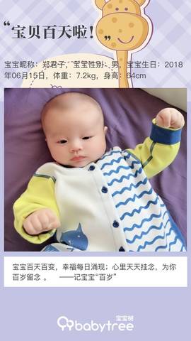 journal_insert_pic_1099441474
