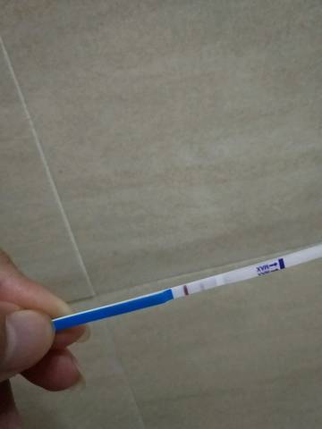 journal_insert_pic_1099377805