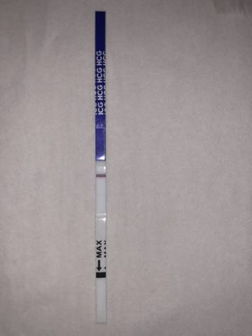 journal_insert_pic_1099549006