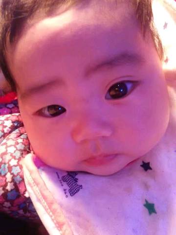 journal_insert_pic_1101289551