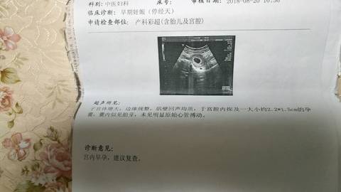 journal_insert_pic_1101780319
