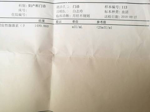 journal_insert_pic_1101703447
