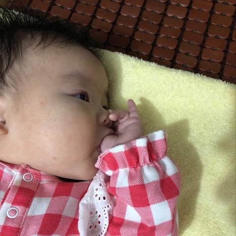 journal_insert_pic_1101774526