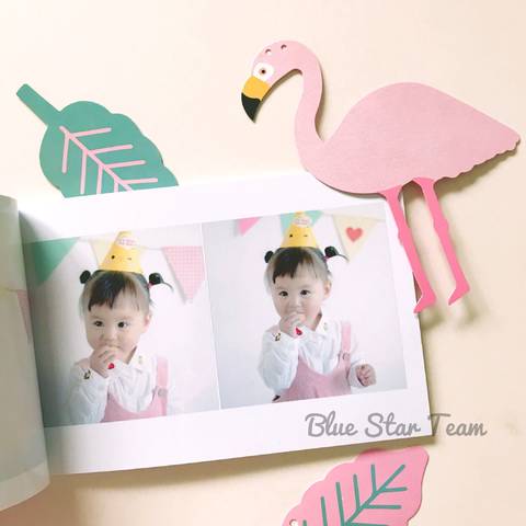 journal_insert_pic_1101446346