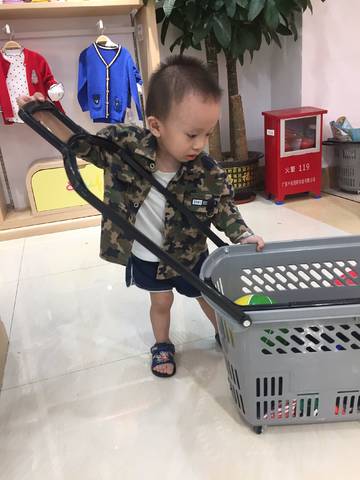journal_insert_pic_1102434153